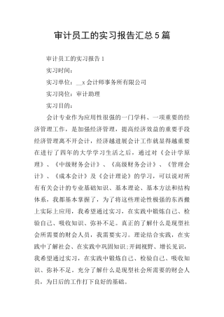 审计员工的实习报告汇总5篇