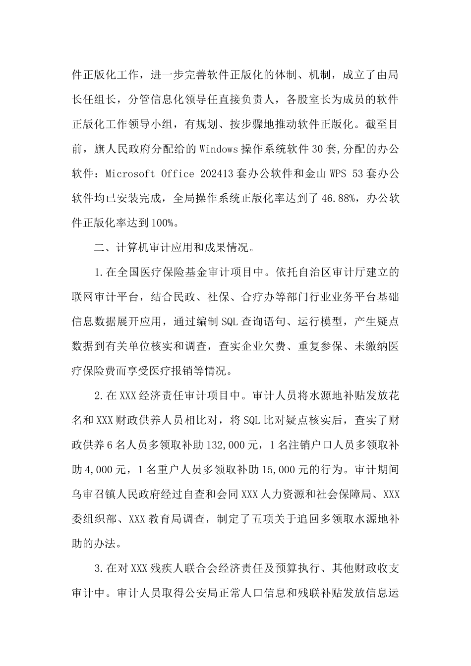 审计信息化建设工作总结报告_第2页