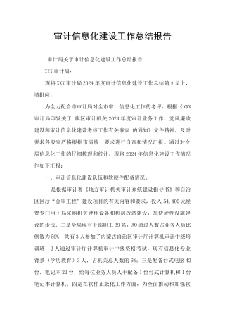 审计信息化建设工作总结报告