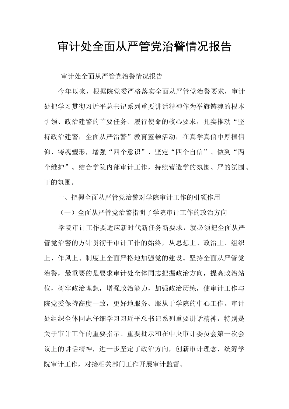 审计处全面从严管党治警情况报告_第1页