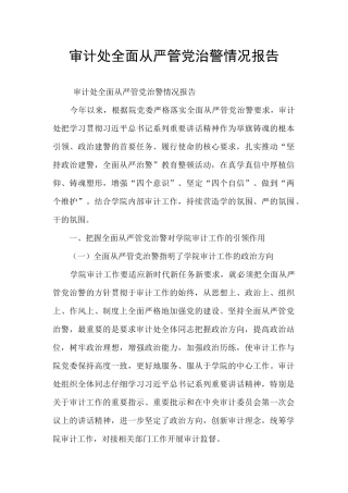审计处全面从严管党治警情况报告