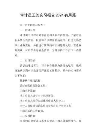 审计员工的实习报告2024实用篇