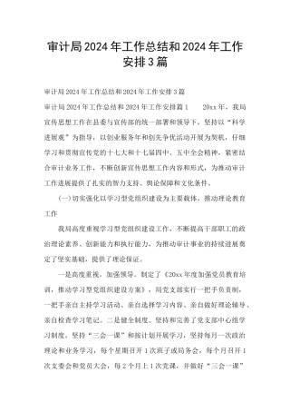 审计局2024年工作总结和2024年工作安排3篇