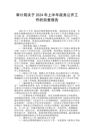 审计局关于2024年上半年政务公开工作的自查报告