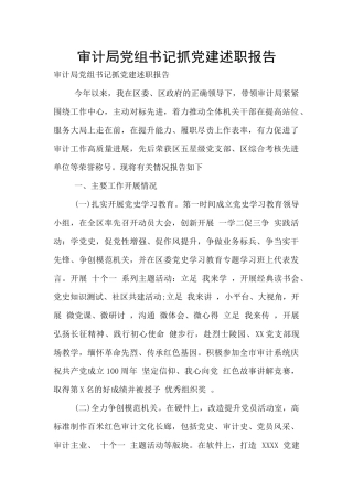 审计局党组书记抓党建述职报告