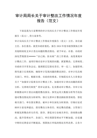 审计局局长关于审计整改工作情况年度报告