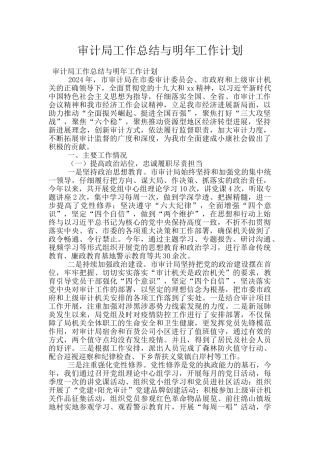 审计局工作总结与明年工作计划