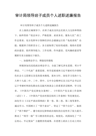 审计局领导班子成员个人述职述廉报告