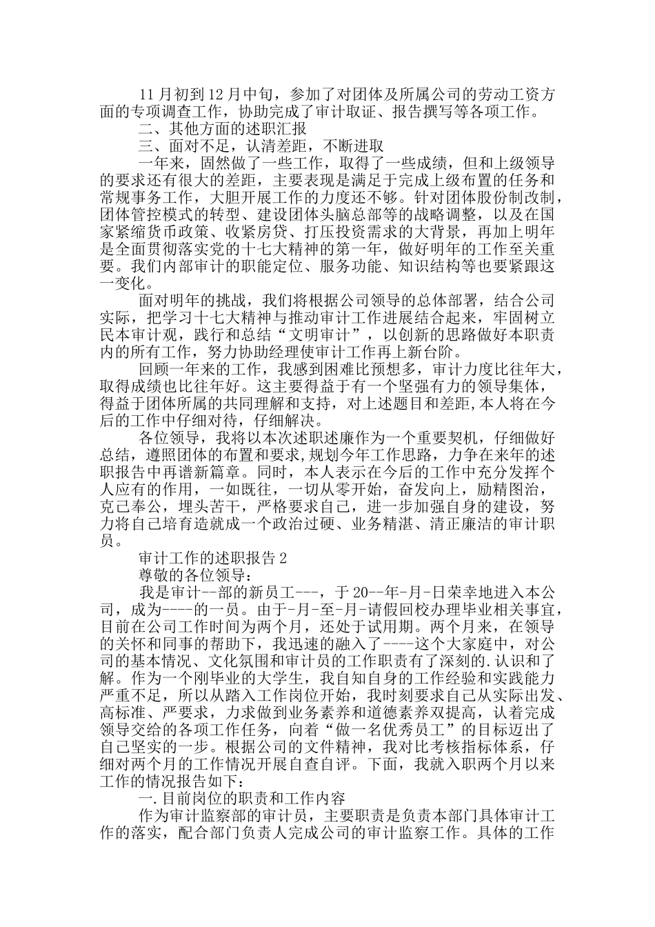 审计工作的述职报告_第2页