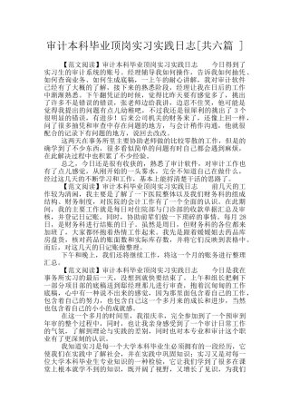 审计本科毕业顶岗实习实践日志