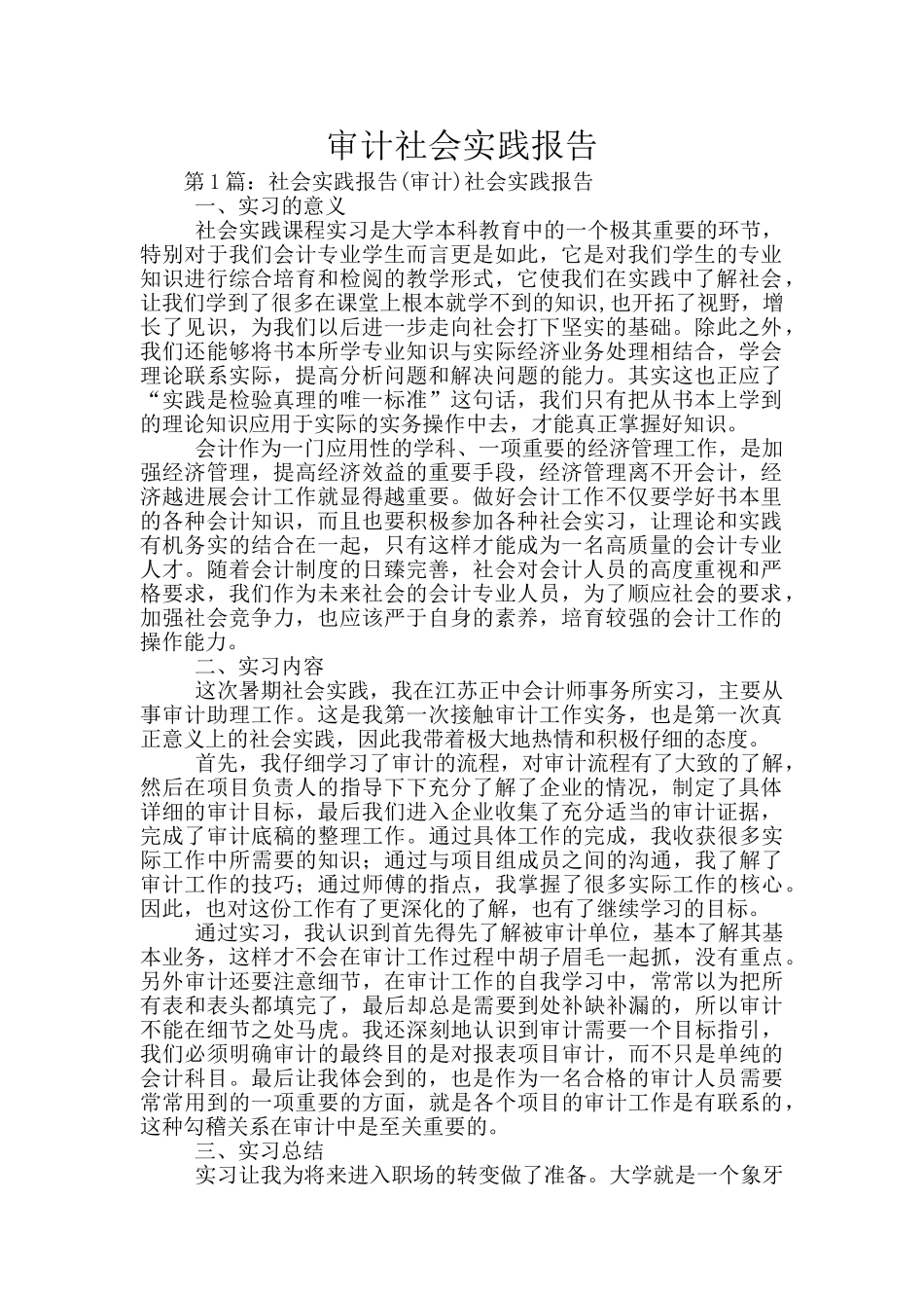 审计社会实践报告_第1页