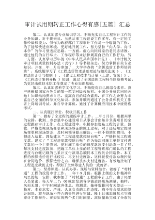 审计试用期转正工作心得有感