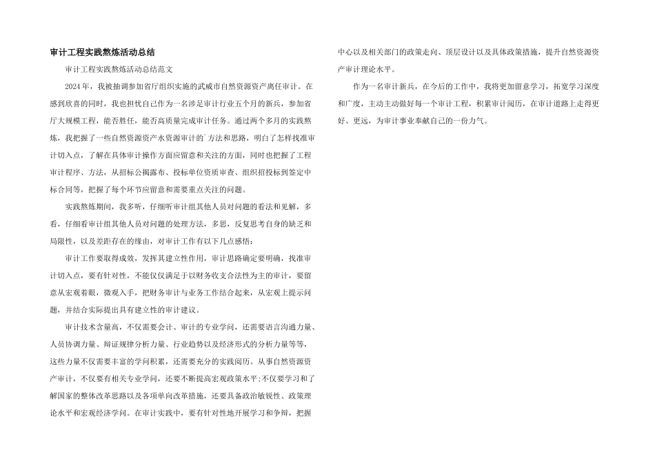 审计项目实践锻炼活动总结_第1页