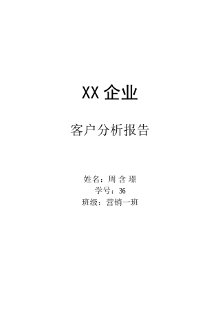 客户分析报告