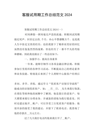 客服试用期工作总结范文2024