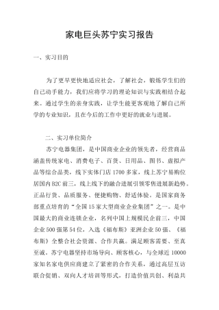 家电巨头苏宁实习报告