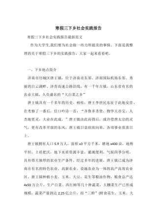 寒假三下乡社会实践报告