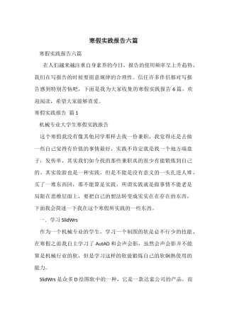 寒假实践报告六篇