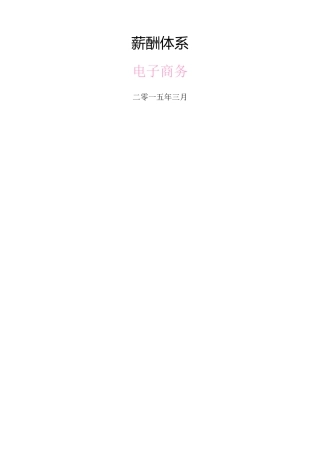 电子商务公司薪酬体系(适合发展中公司)