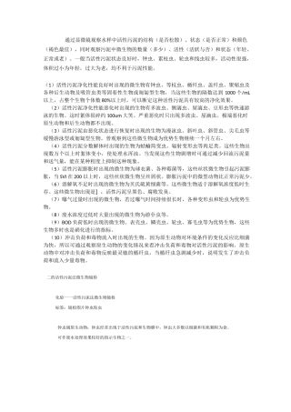 污水处理镜检总结