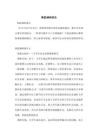 寒假调研报告