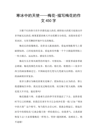寒冰中的天使——梅花