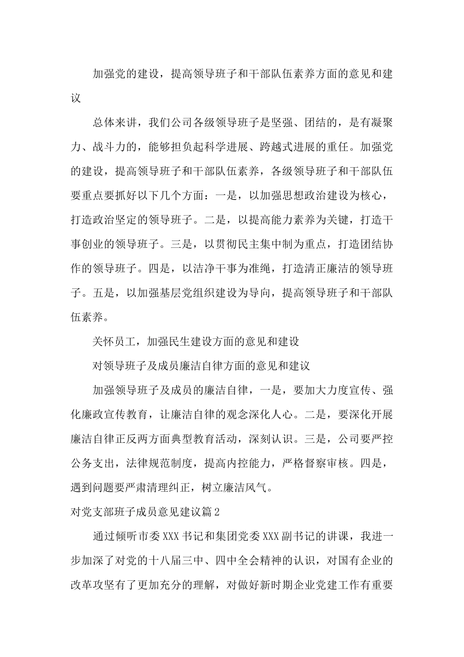 对党支部班子成员意见建议范文_第3页