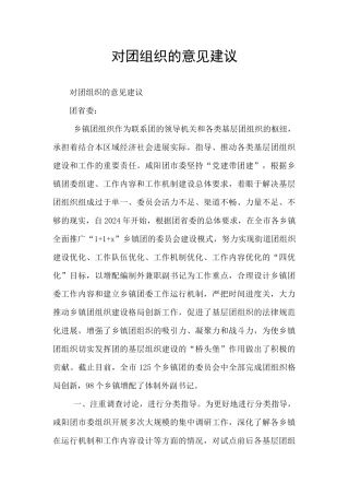 对团组织的意见建议