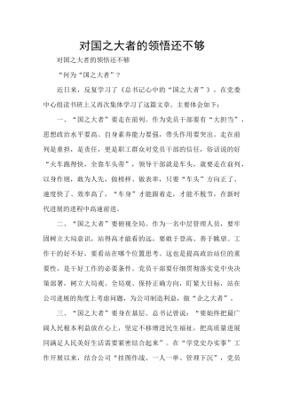 对国之大者的领悟还不够
