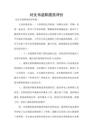 对支书述职团员评价