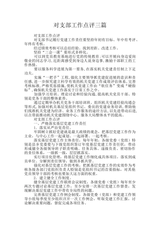 对支部工作点评三篇