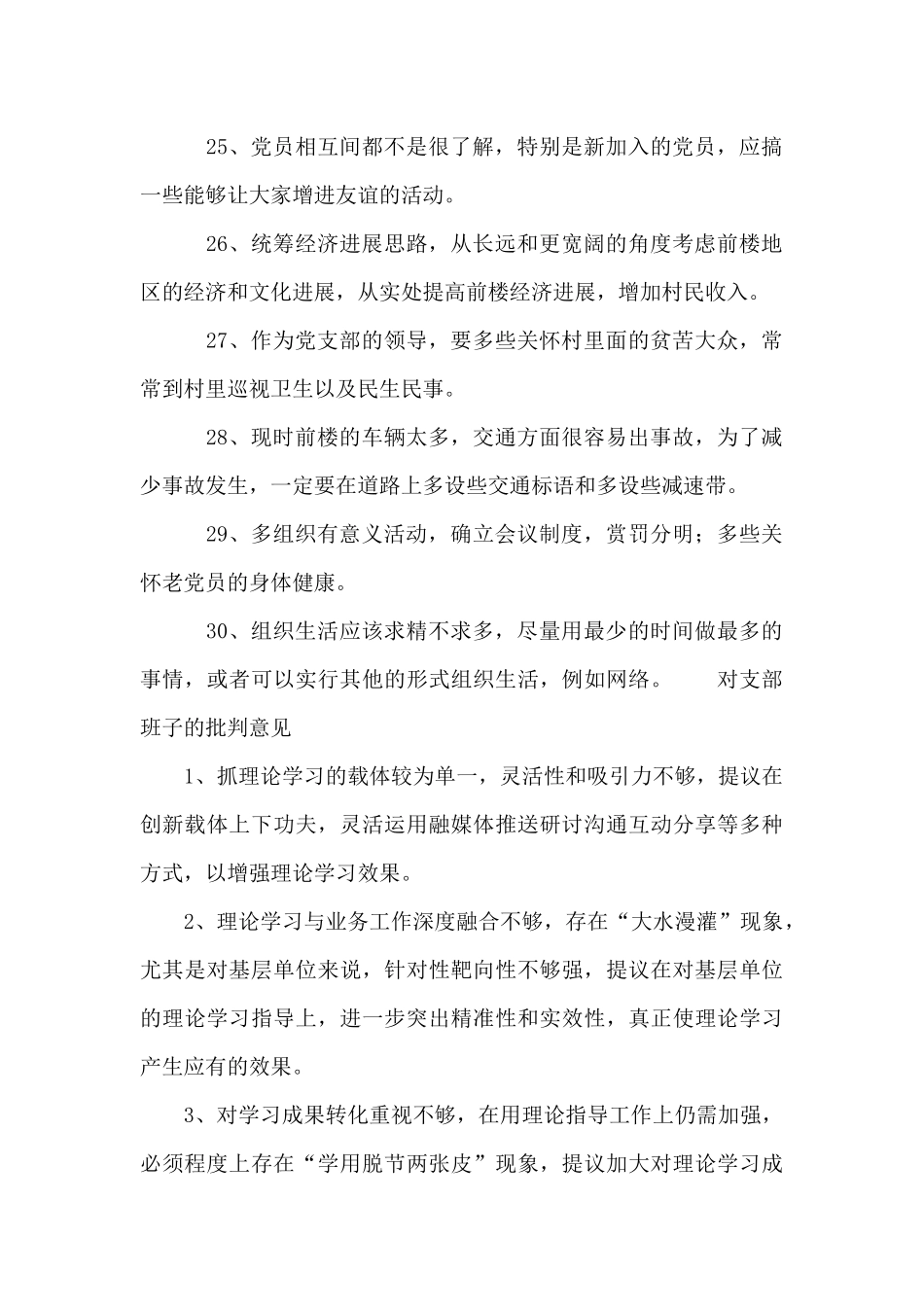 对支部班子的批评意见_第3页