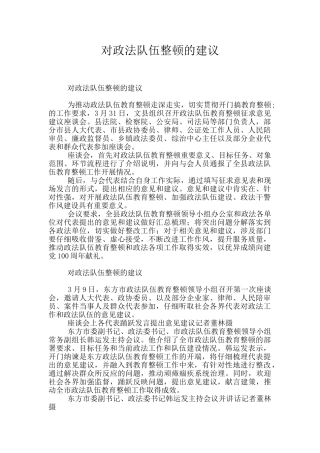 对政法队伍整顿的建议