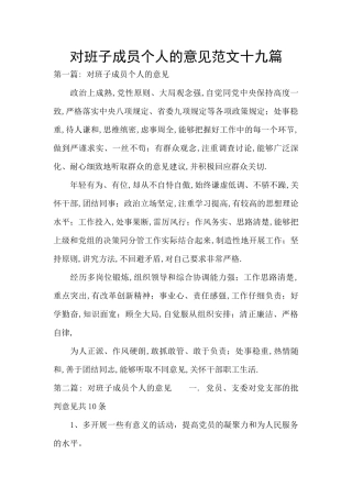 对班子成员个人的意见范文十九篇