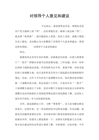 对领导个人意见和建议