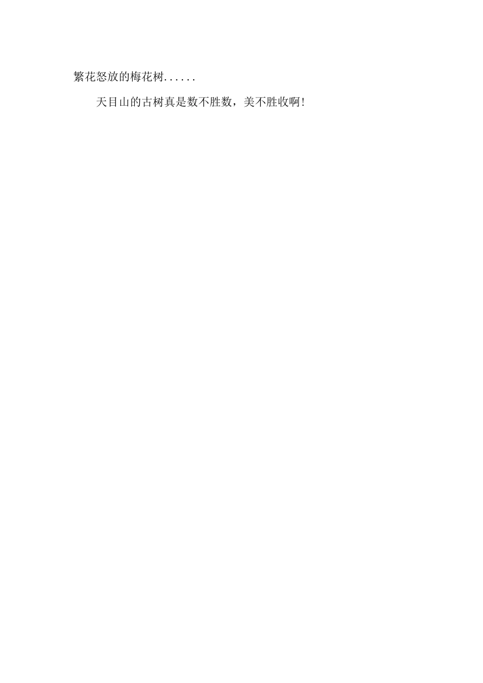 寻找天目山的古树_第2页