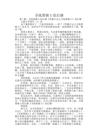 寻找黑骑士读后感