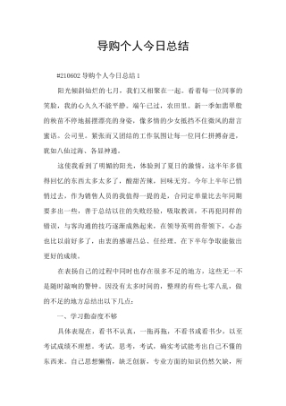 导购个人今日总结