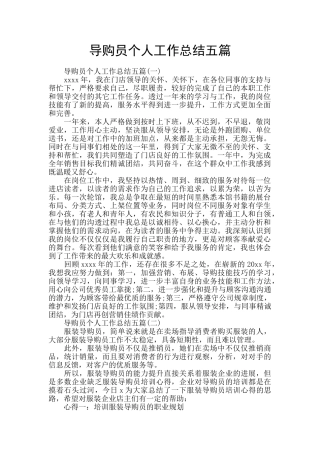 导购员个人工作总结五篇