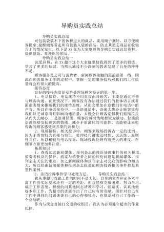 导购员实践总结