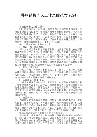 导购销售个人工作总结范文2024