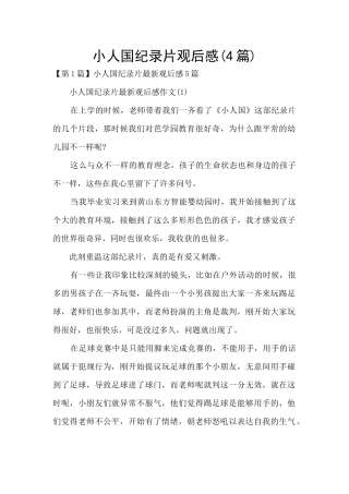 小人国纪录片观后感