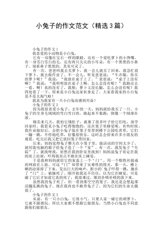 小兔子的作文范文