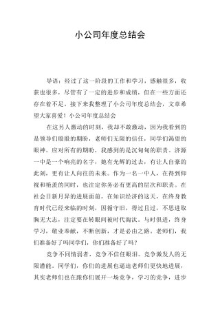 小公司年度总结会