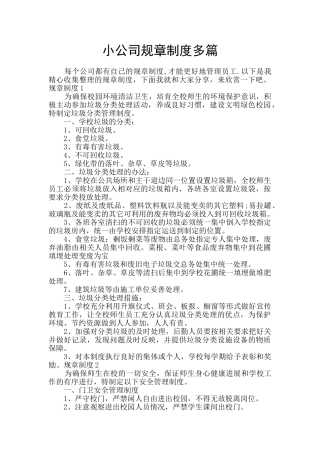 小公司规章制度多篇