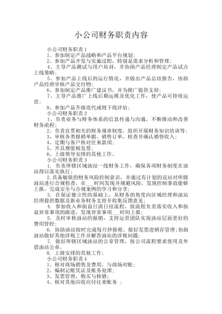 小公司财务职责内容