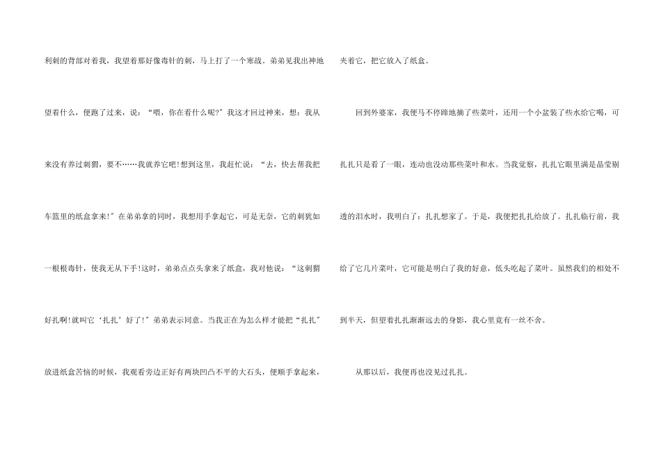 小刺猬回家的说明文_第2页