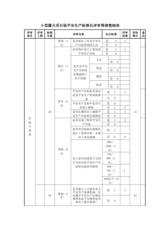 小型露天采石场安全生产标准化评审得分明细表