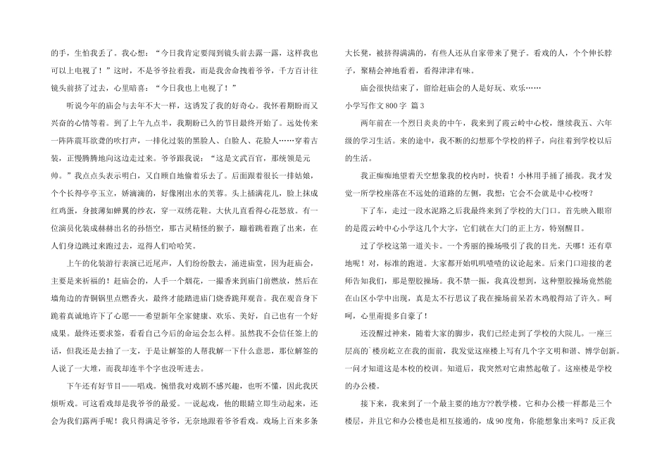 小学写800字集锦6篇_第2页