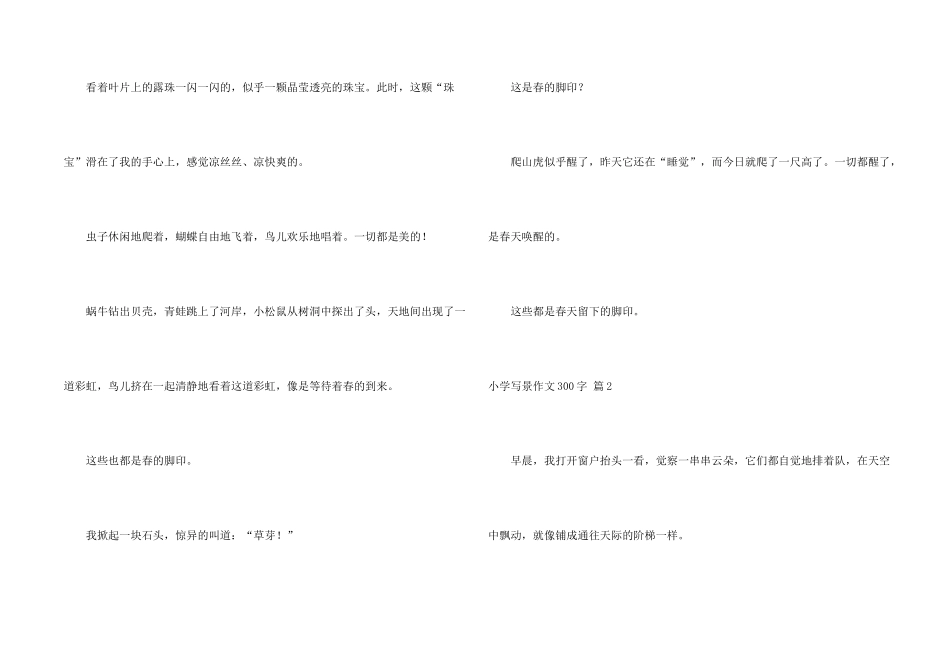 小学写景300字九篇_第2页